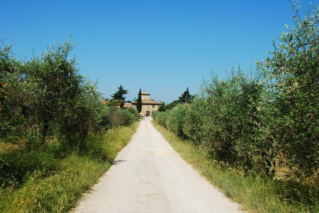 B&B Le Querciole Del Chianti Barberino di Val dʼElsa Exterior foto